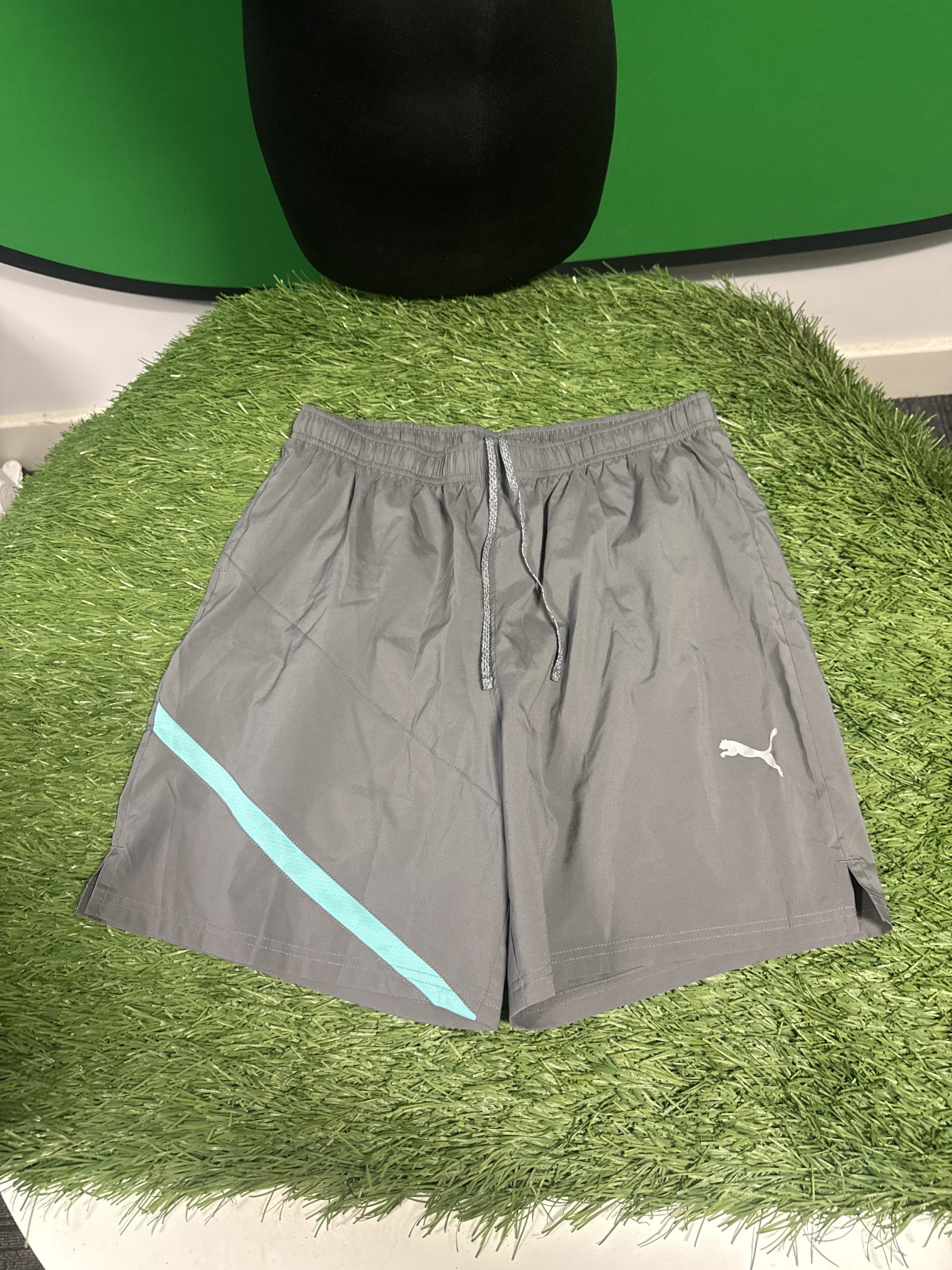 Puma Men’s Grey Training Shorts