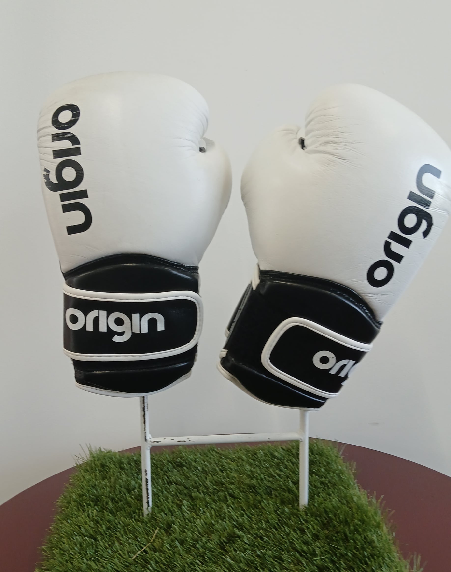 Origin Boxing Gloves 12 oz kitround